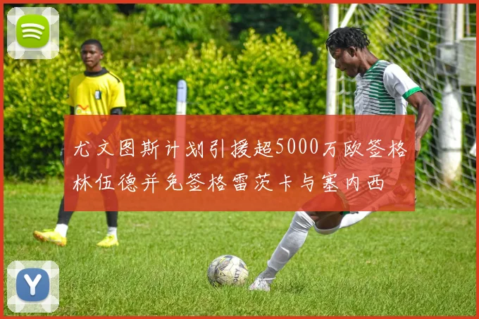 尤文图斯计划引援超5000万欧签格林伍德并免签格雷茨卡与塞内西