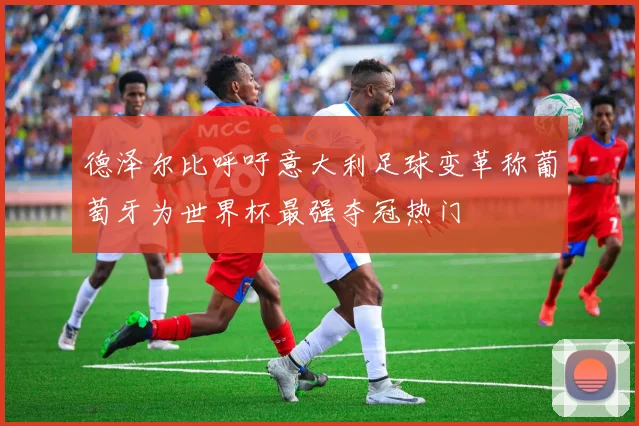 德泽尔比呼吁意大利足球变革称葡萄牙为世界杯最强夺冠热门