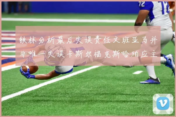 铁林分析最后失误责任文班亚马并非唯一失误卡斯尔福克斯哈珀应主动接球