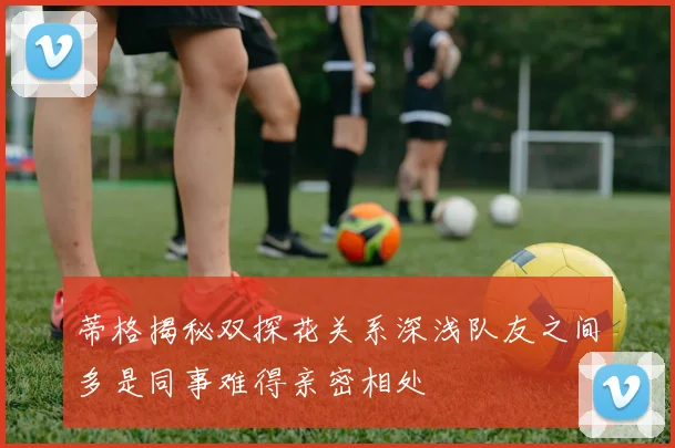 蒂格揭秘双探花关系深浅队友之间多是同事难得亲密相处